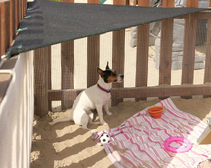 media.Slide-Servizi_1-Hotel-Estate-Torre-Pedrera