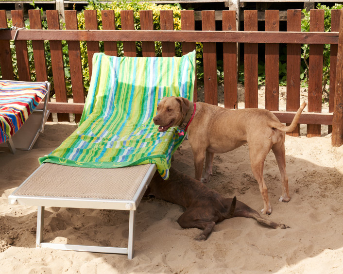 media.Gallery-Servizi_3Hotel-Estate-Torre-Pedrera