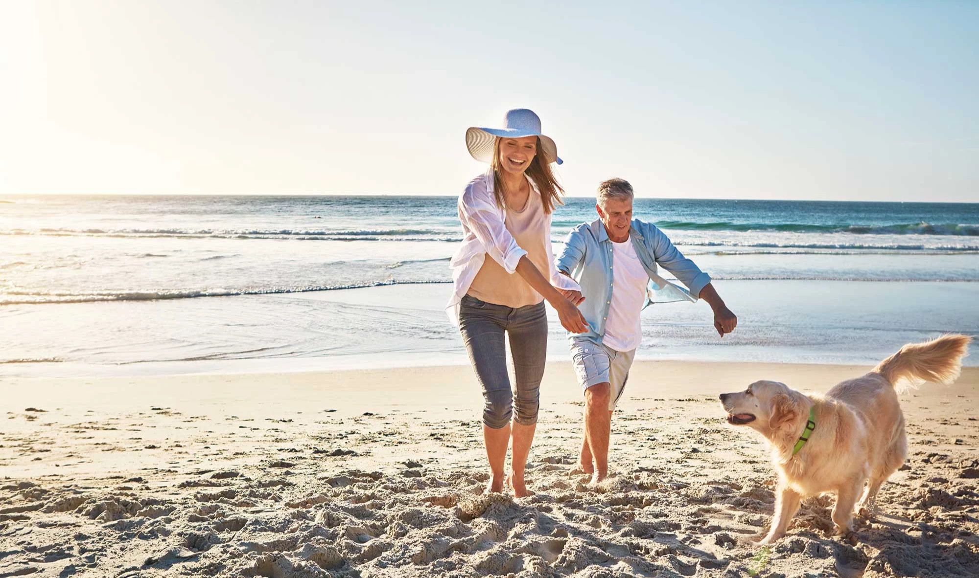 media.pet-hotel_599494767